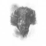"Buffalo" by E. T. Seton